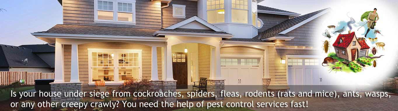 pest control in peterborough